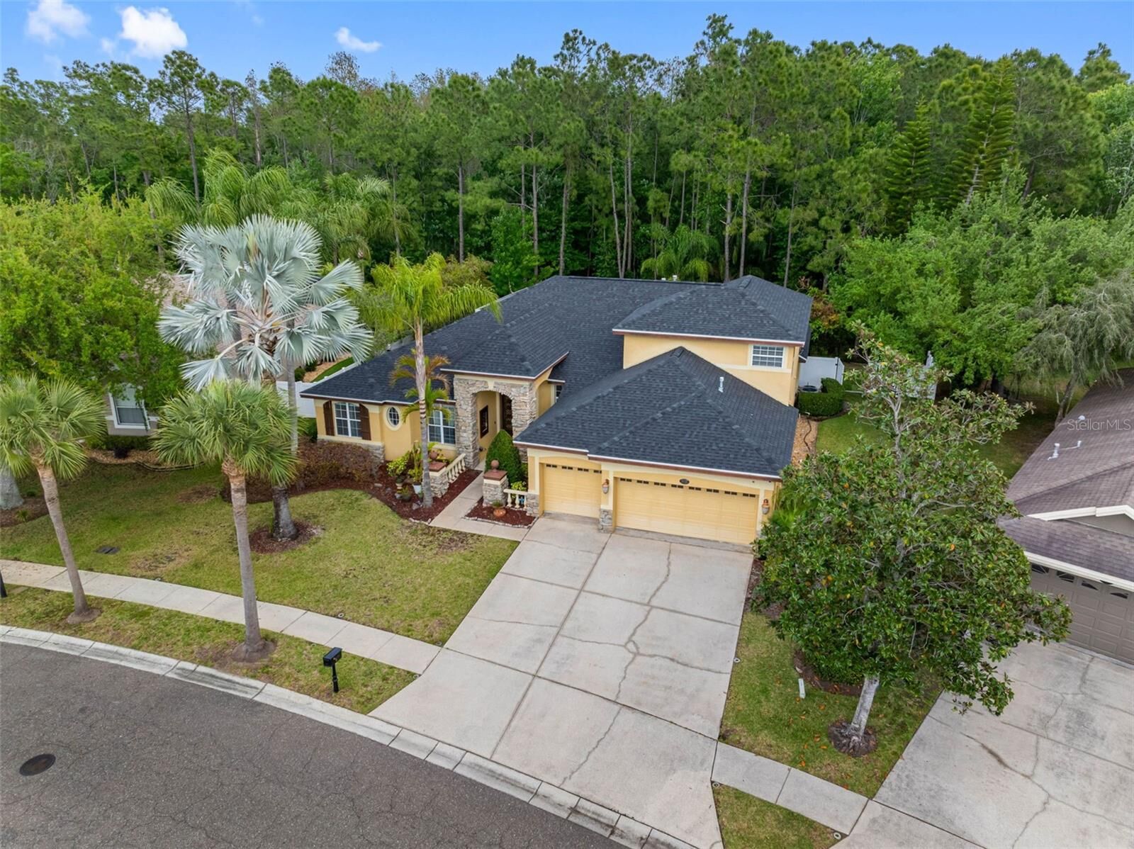 Property Photo:  16750 Ivy Lake Drive  FL 33556 