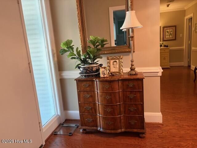 Property Photo:  104 Bunn Avenue  NC 27804 