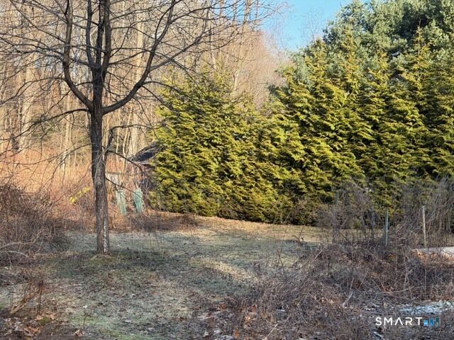 Property Photo:  781 Main Street  CT 06073 