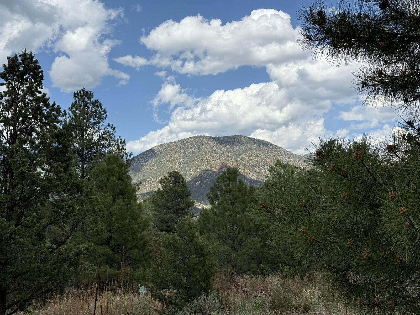 Property Photo:  2318 Old Red River Road B  NM 87556 