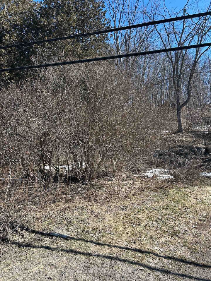 Property Photo:  58 Main Street  ON K0K 2M0 