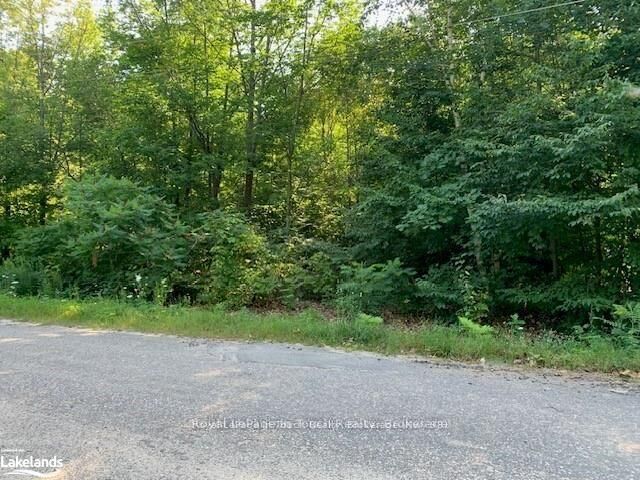 Lt 60 Oneida Crescent — photo 1
