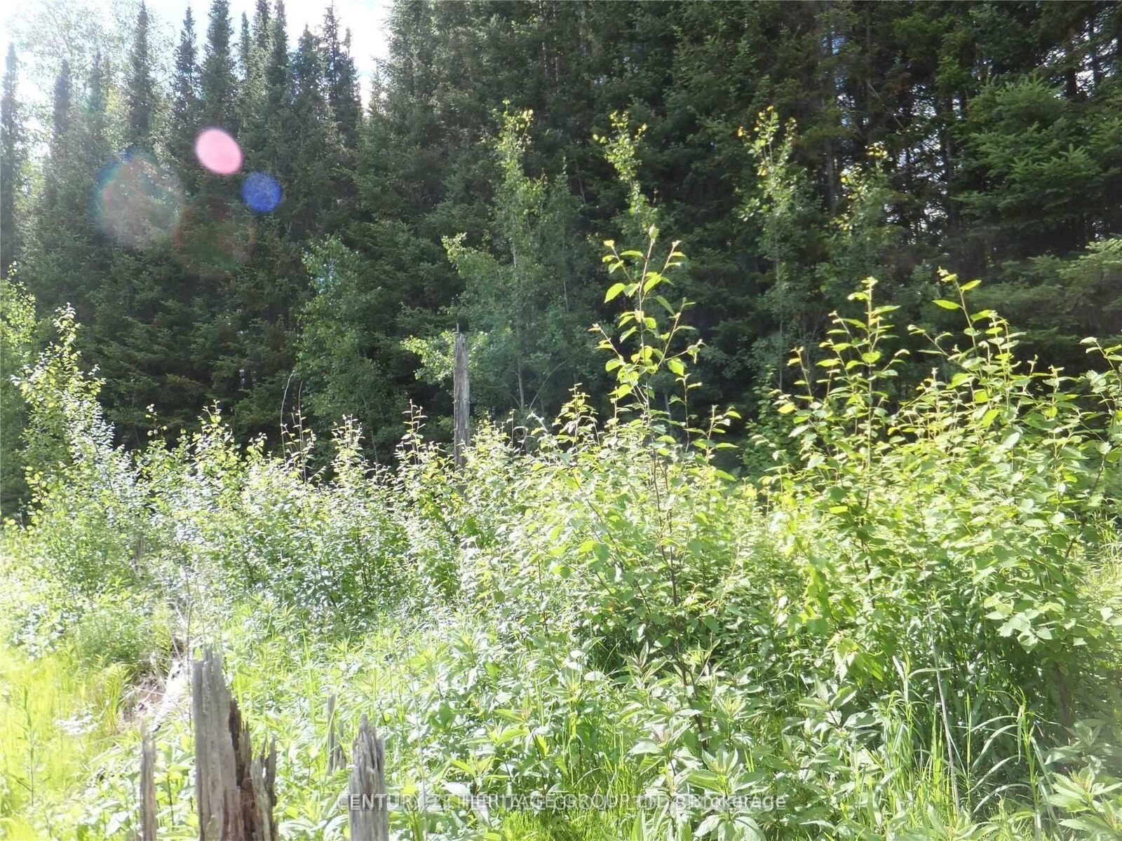 Property Photo:  2098 Glamor Lake Road  ON K0M 1R0 