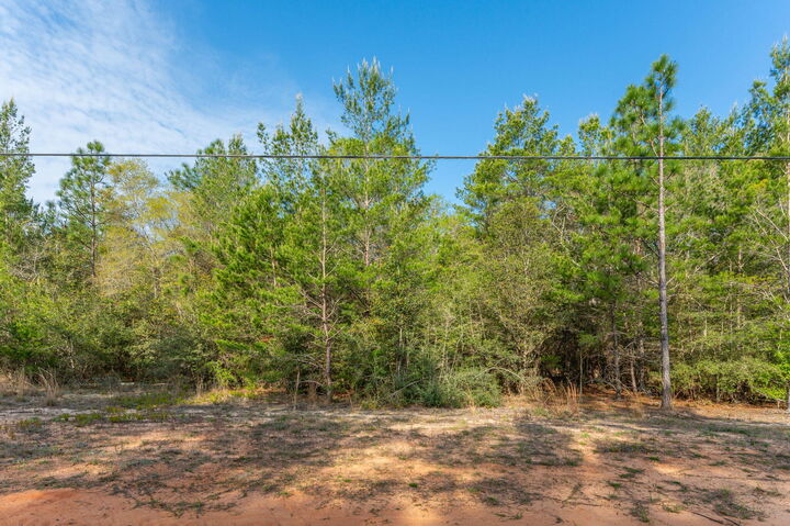 Property Photo:  Lot 14 John Nix Road  FL 32539 