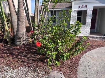 Property Photo:  129 94th Avenue  FL 33706 