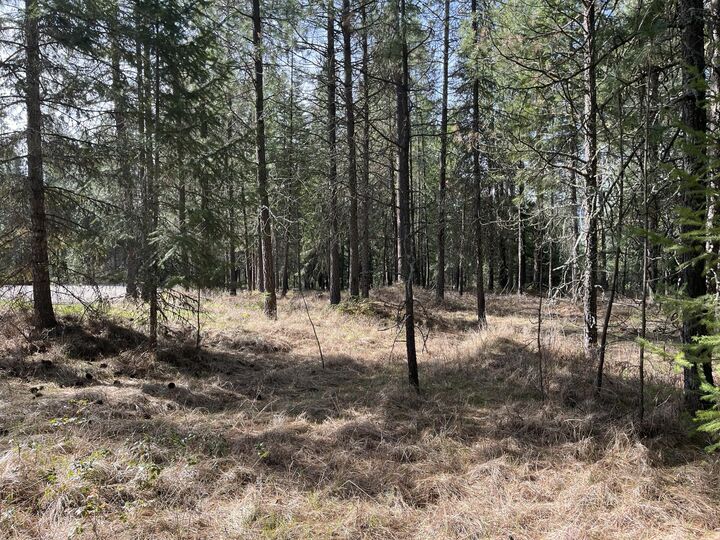 Property Photo:  4xx Couples Pl  WA 99109 