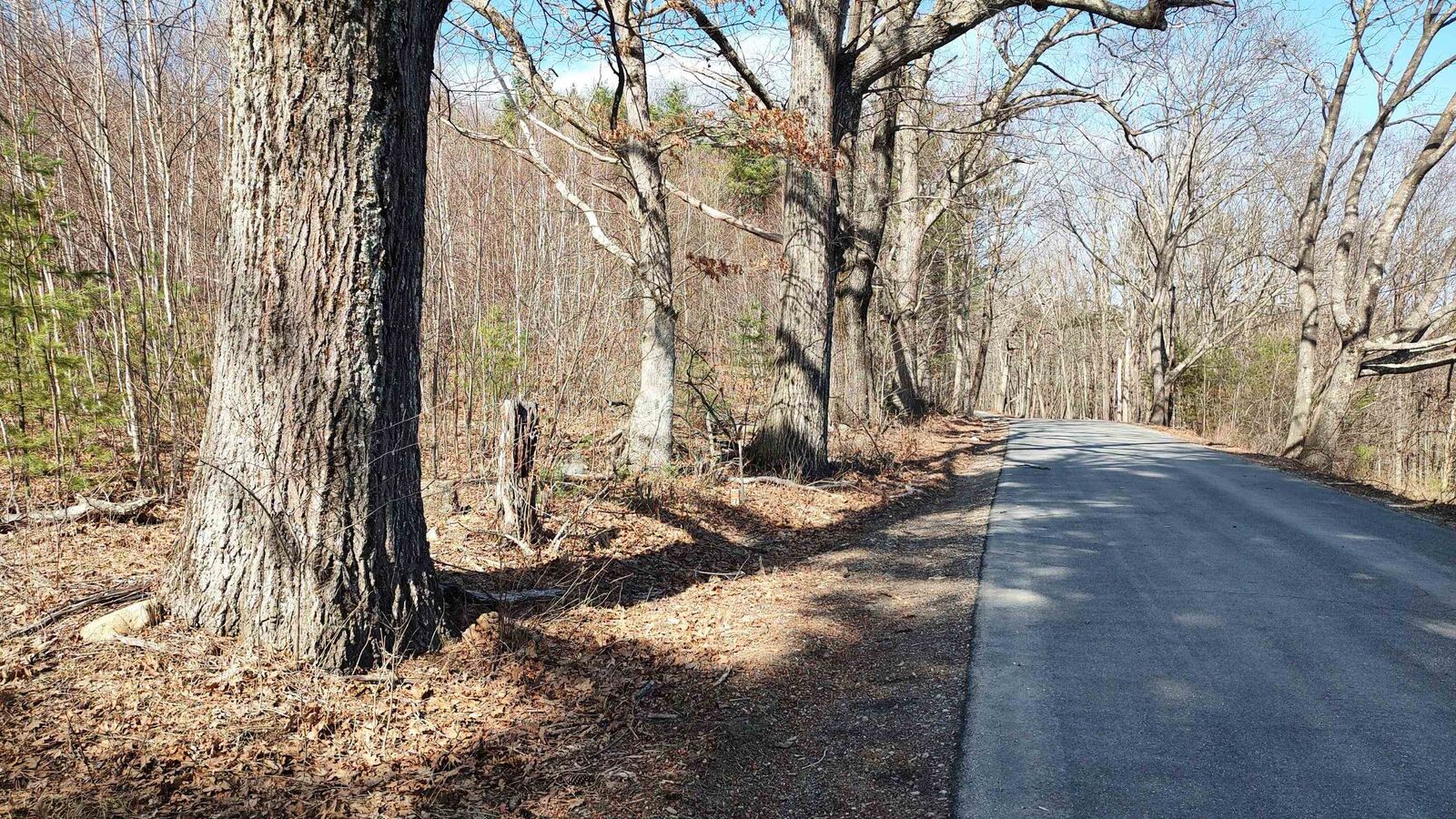 Property Photo:  1-50-3 Colburn Road  NH 03070 