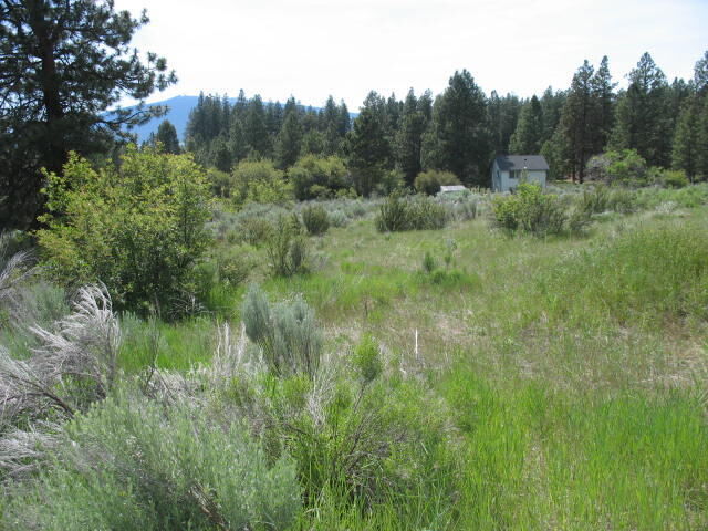 Property Photo:  Irving Way Lot 3  OR 97624 