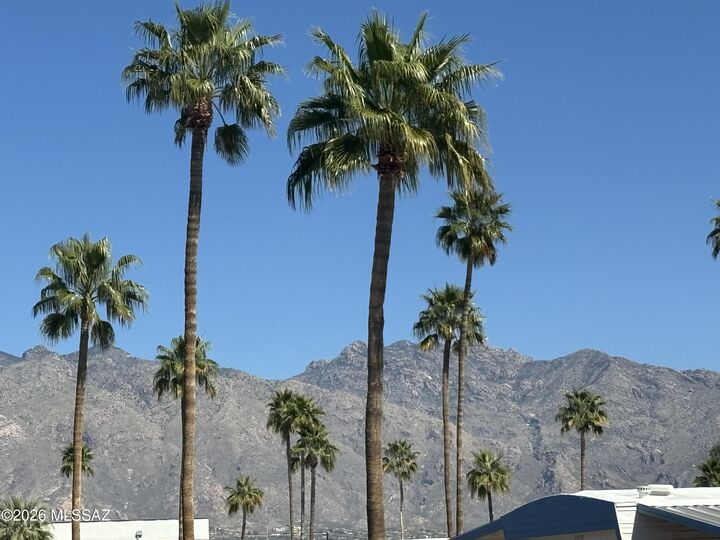 Property Photo:  4001 E Blacklidge Drive 62  AZ 85712 