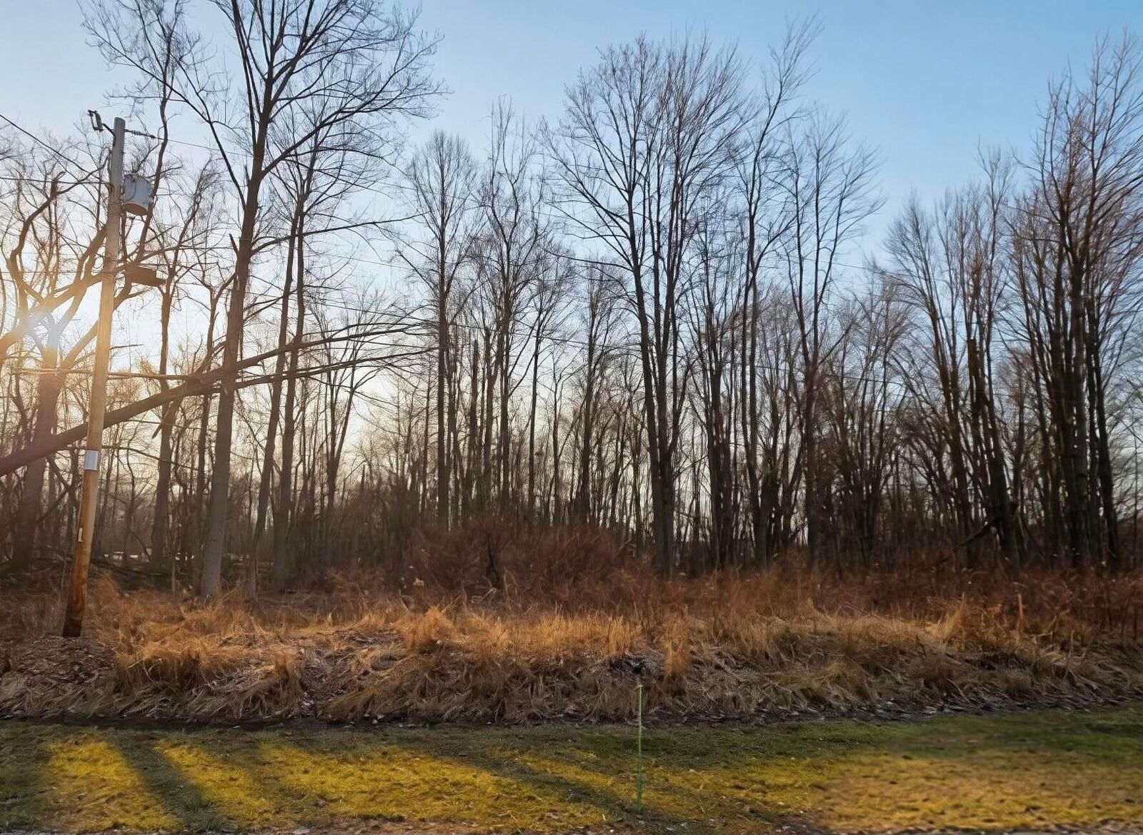 Property Photo:  7326 State Route 19  OH 43338 