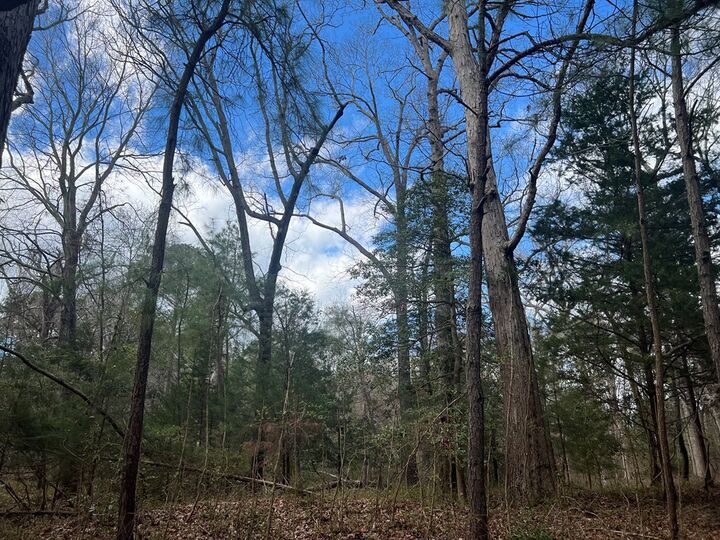 Property Photo:  Lot 3A Harbour Ln  VA 23347 