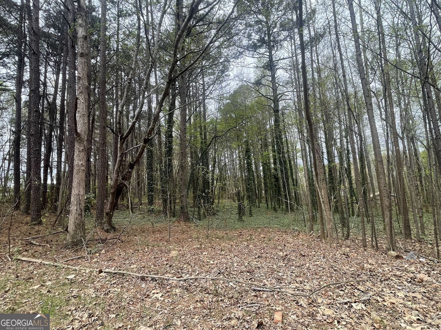 Property Photo:  0 Mt Tabor Church Road  GA 30157 