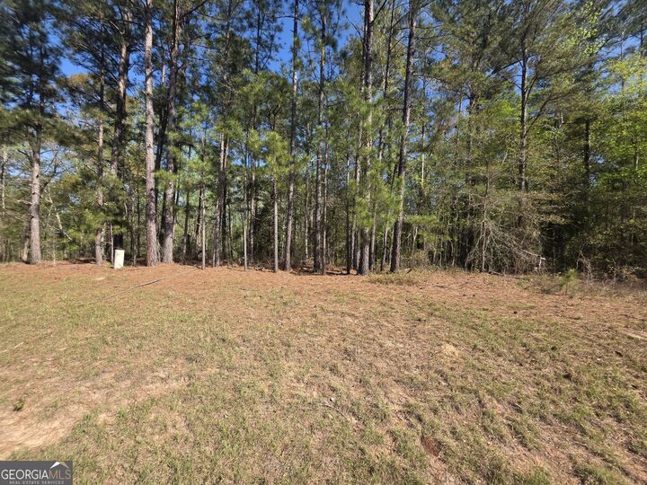 Property Photo:  Tract A Ga Highway 102  GA 30820 