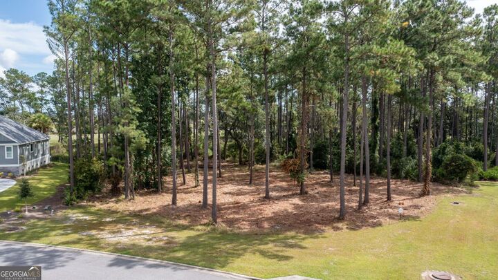 Property Photo:  V/L 48 Sanctuary Cove Ph 7  GA 31565 