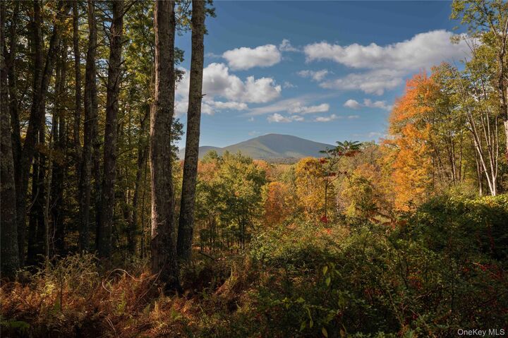 Property Photo:  363 Beaverkill Road  NY 12461 