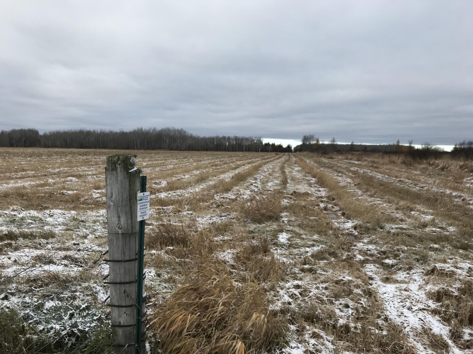 Property Photo:  000 W M-48  MI 49780 