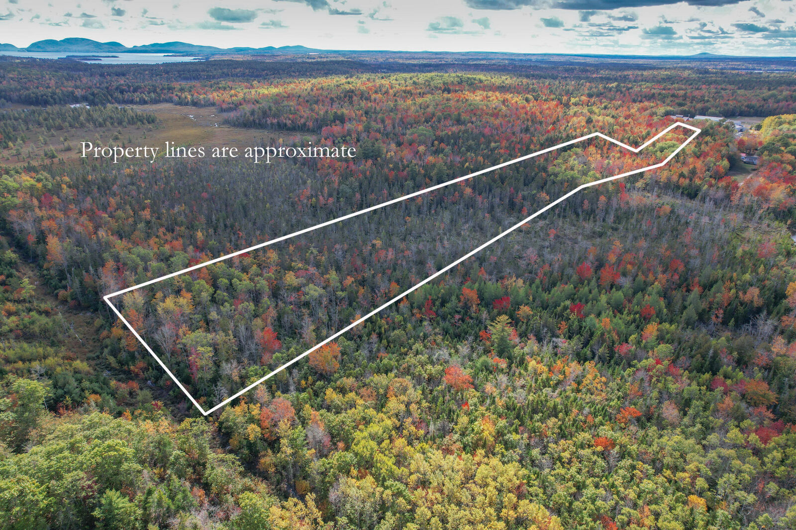 Property Photo:  535 Bert Gray Road  ME 04664 