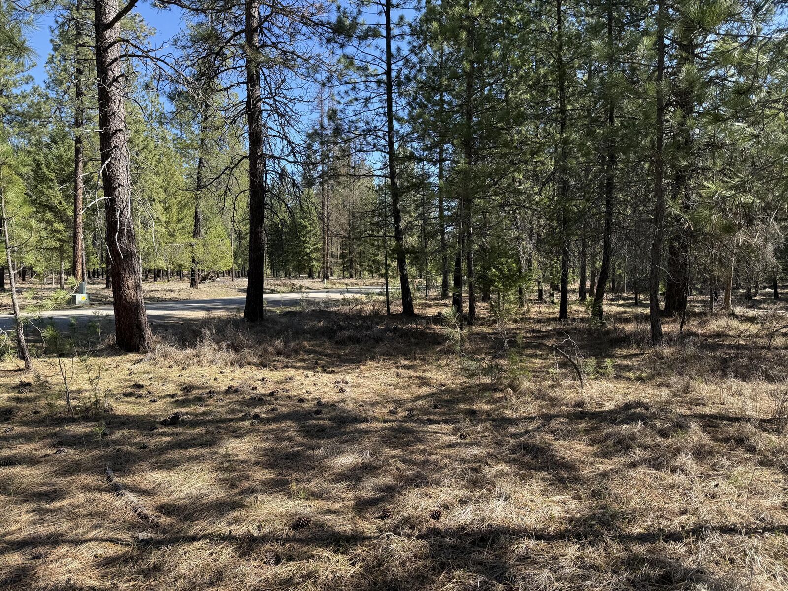 Property Photo:  Lot 21 Couples Ct  WA 99109 