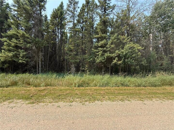Property Photo:  Tbd 40 Acres Sunflower  MN 56650 