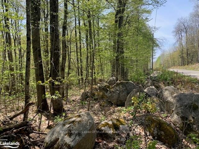 Property Photo: 2376 South Horn Lake Road ON P0A 1L0