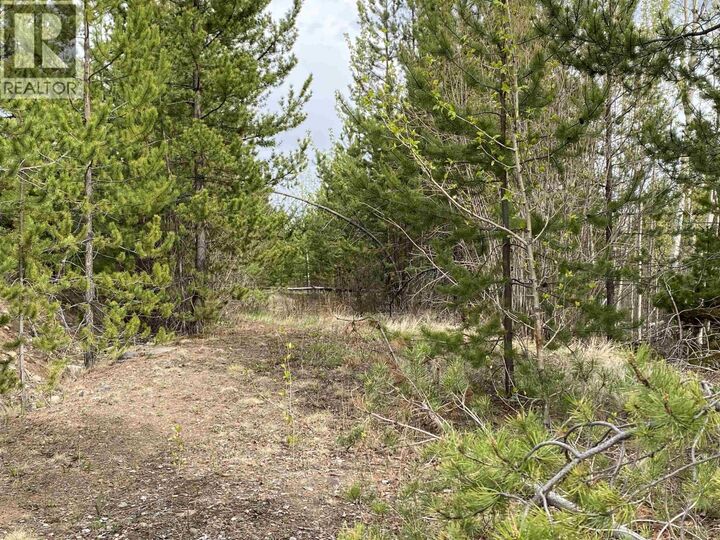 Property Photo:  Blk A 94 Mile Frontage Road  BC V0K 2E2 