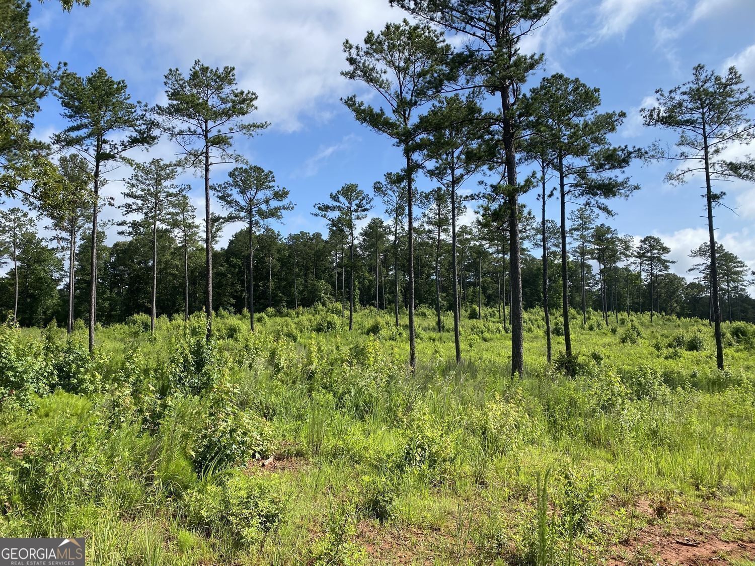 Property Photo: Lot 3 Giles Road GA 31029