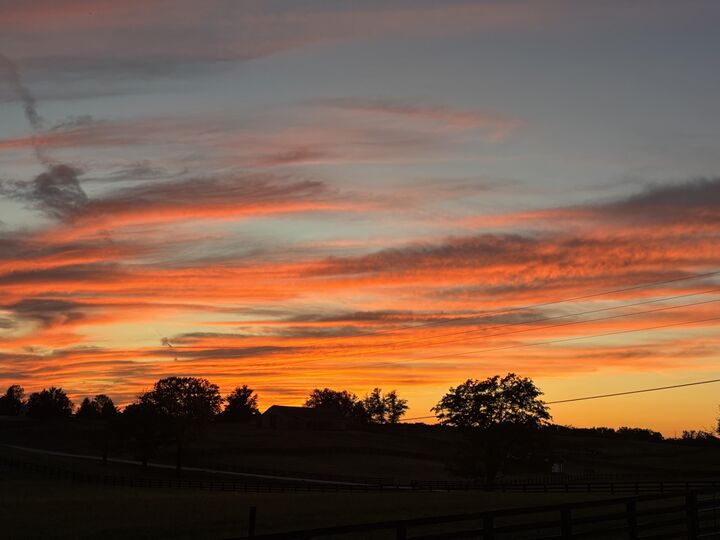 Property Photo:  385 Mills Lane  KY 40601 