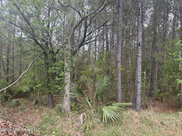 Property Photo:  Nsn 6&Amp7 Monroe Street  MS 39576 