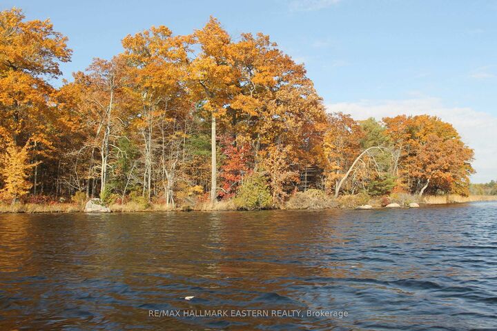 Property Photo: C280 Lower Buckhorn Lake N/A Lot 2 ON K0L 1J0