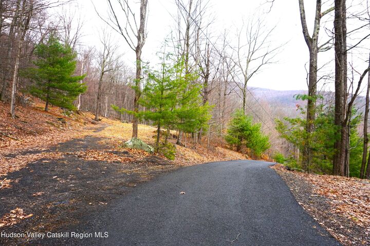 Property Photo:  20 Lion'S  NY 12409 