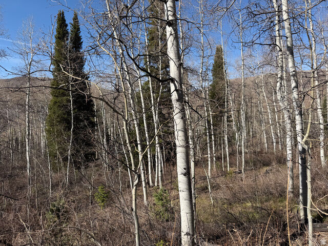 Property Photo: 5209 White Pine Cir 545 UT 84055