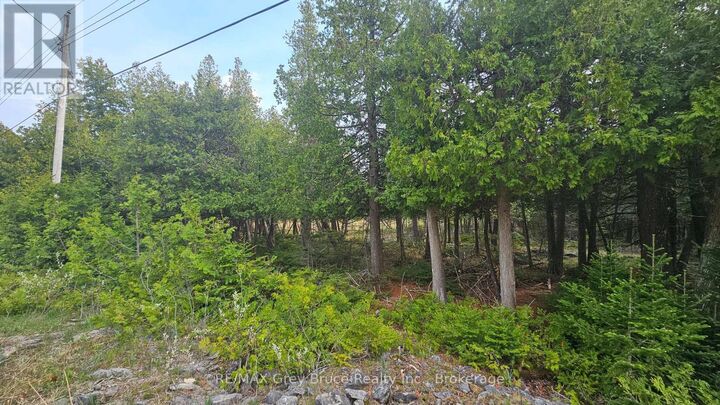 Property Photo:  Lt 254 Dorcas Bay Road  ON N0H 2R0 