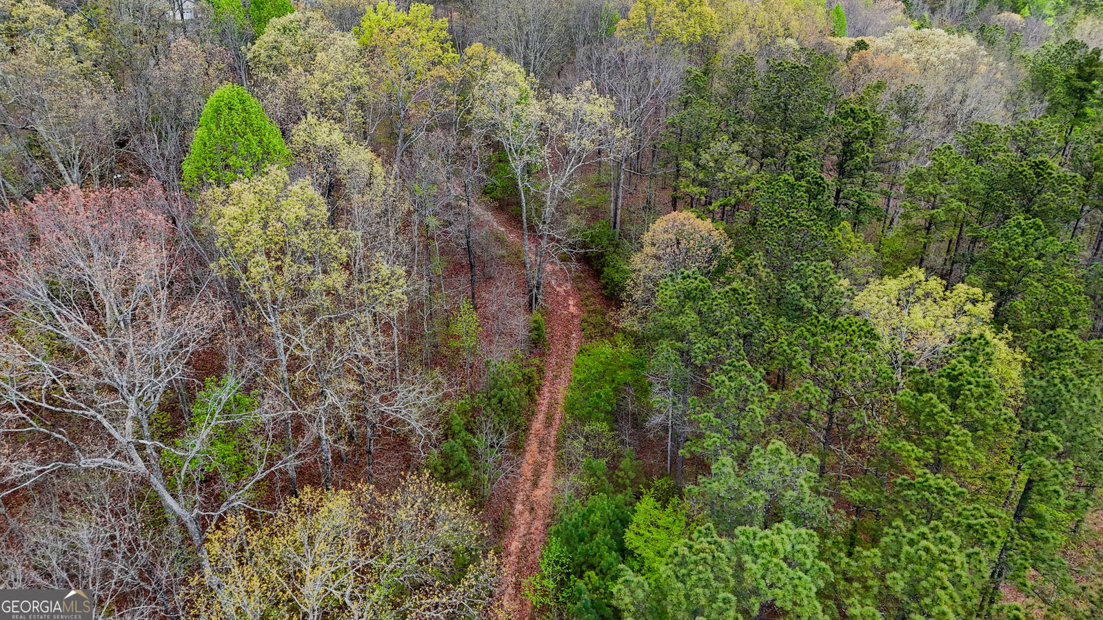Property Photo: 78 Acres Cross Plains Road GA 30116