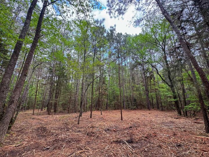 Property Photo:  0002 Cr 1628 Tract 2  TX 75563 