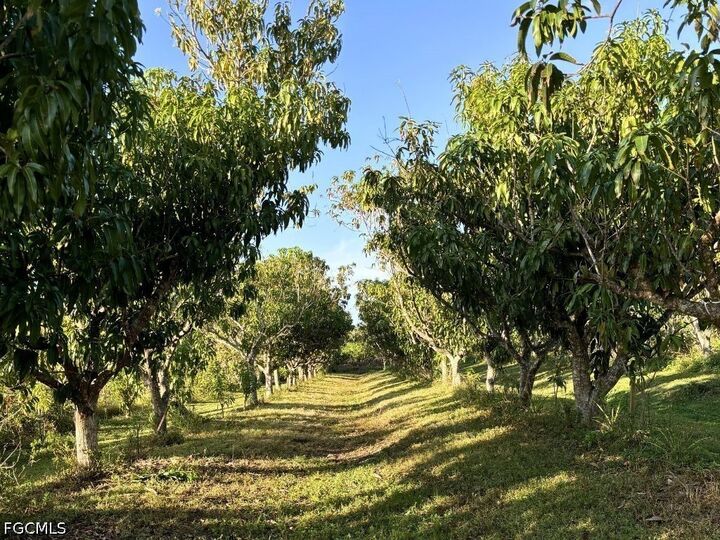 Property Photo:  6640 Sunrise Lane  FL 33922 