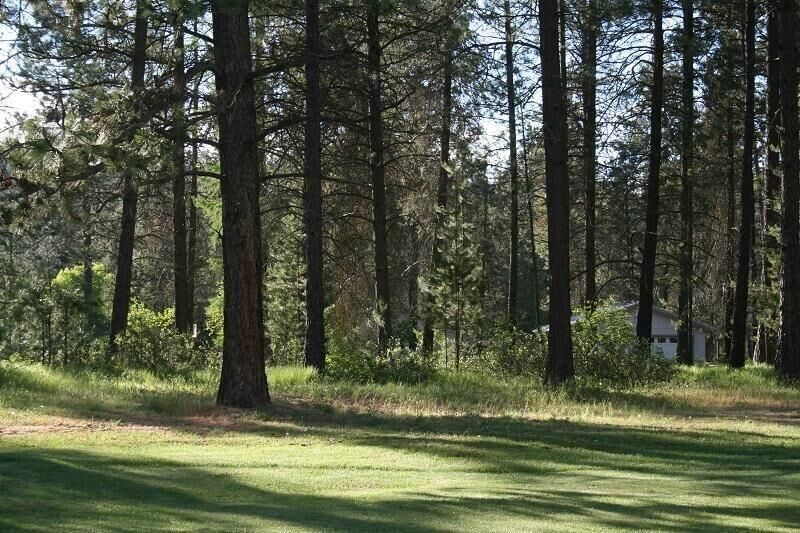 Property Photo:  205 Eagle Dr  WA 99109 