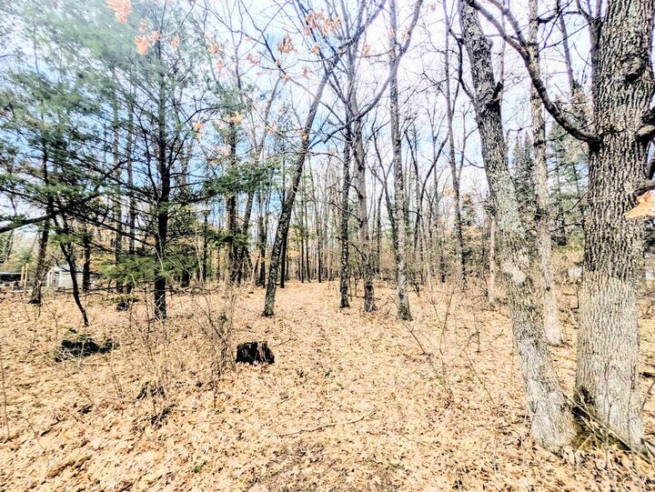 Property Photo:  0 11th Avenue  WI 53934 