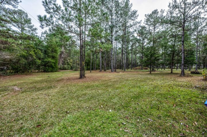 Property Photo:  248 Bunny Lane  FL 32439 