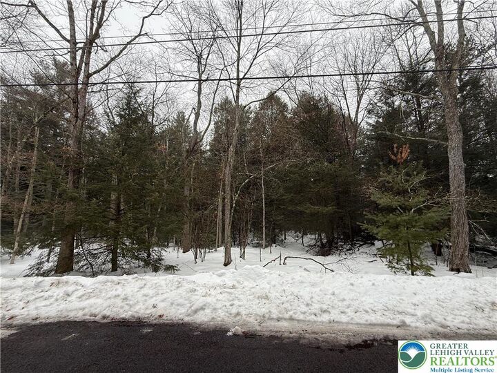 Property Photo:  Dryden Drive  PA 18210 