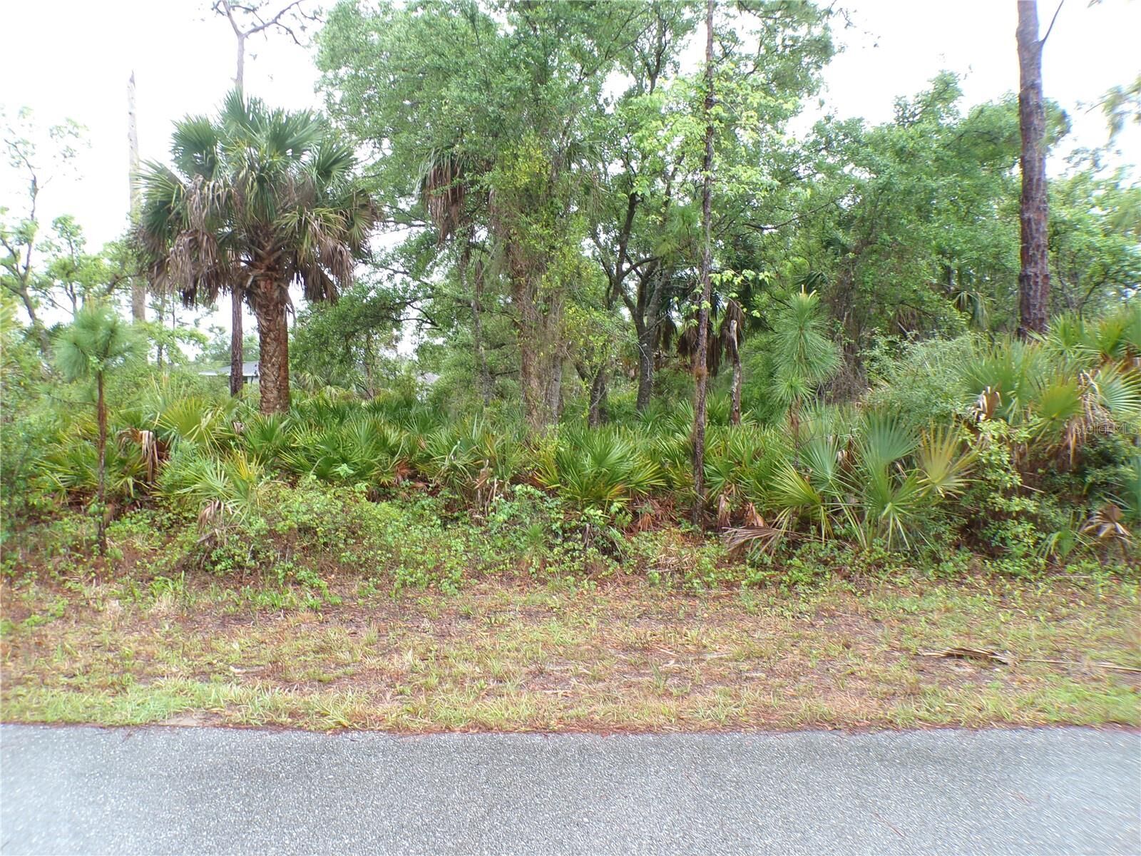 Property Photo: 14309 Harcourt Avenue FL 33953