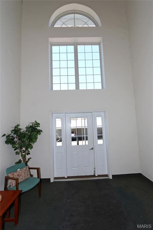 Property Photo:  3605 Tracey Rich Road 3C  MO 63125 