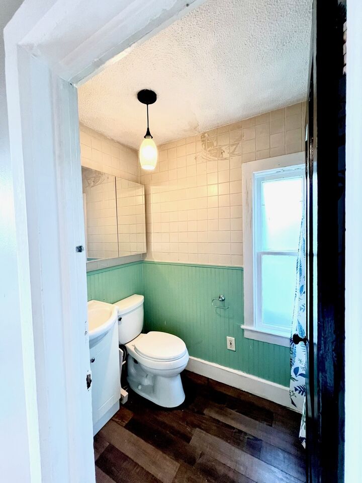 Property Photo:  703 S 7th Avenue  IL 60174 