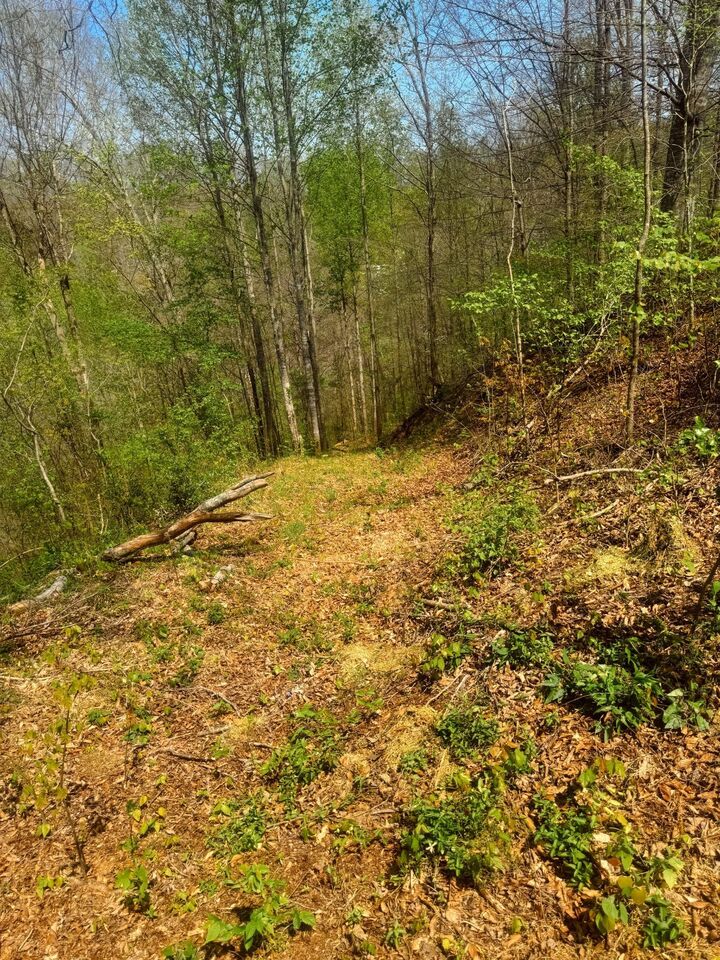 Property Photo: 0 Holiday Haven Dr TN 37166