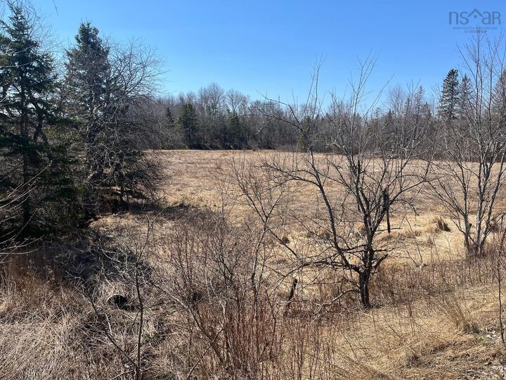 Lot A Highway 289 — photo 1