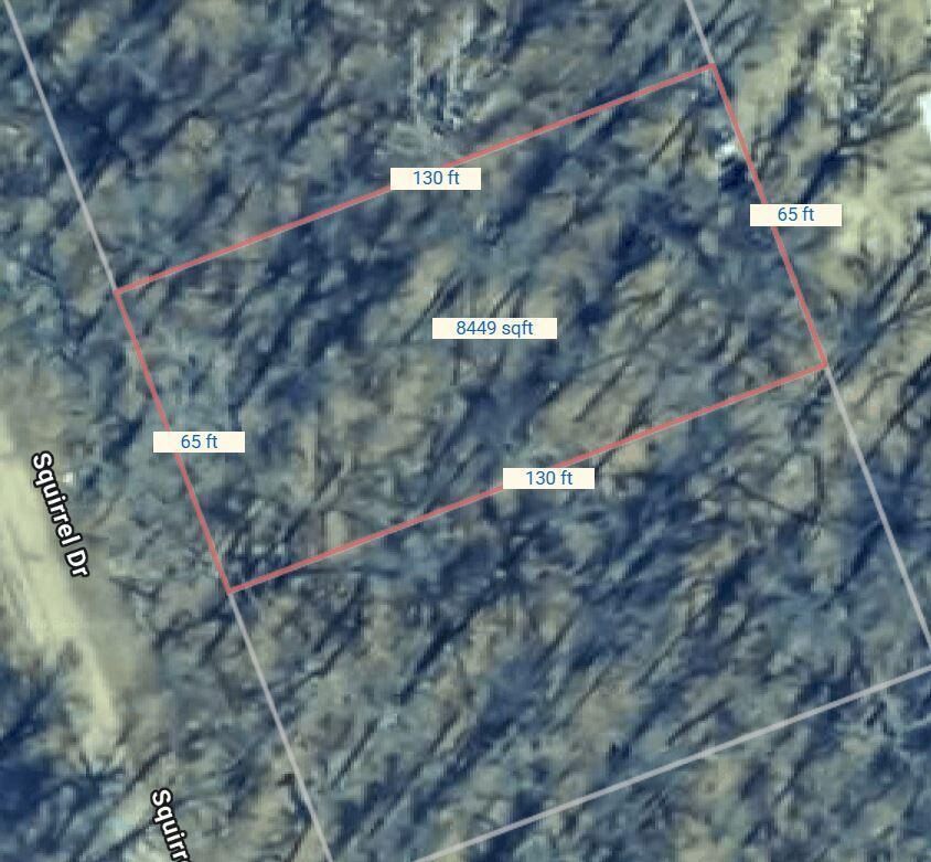 Property Photo: Xxx Tbd Squirrel Drive MN 56472