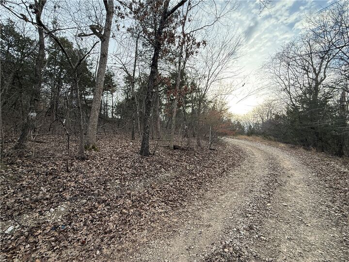 Property Photo:  Mallard Drive  AR 72630 