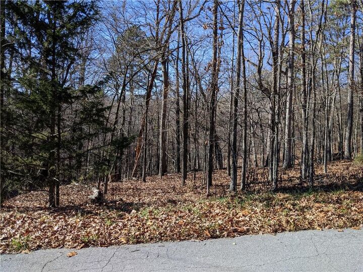 Property Photo: Lot 4 Radcliffe Drive AR 72714