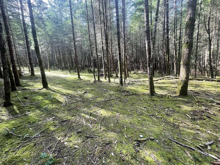 Property Photo: 1840 Seymour Road BC V0R 1X6