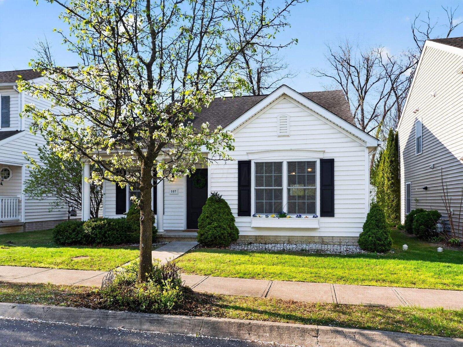 Property Photo:  107 Arrowfeather Lane  OH 43035 