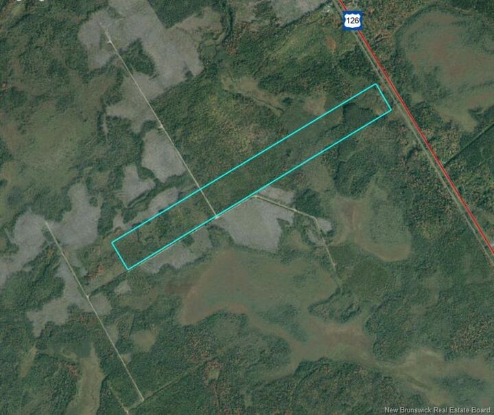 - Woodlot 54 - Rte 126(Birch Ridge) — photo 1